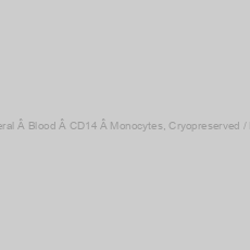 Image of Human Â Peripheral Â Blood Â CD14+Â Monocytes, Cryopreserved / Positive selection